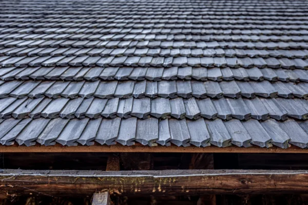 Roofing Services (1)
